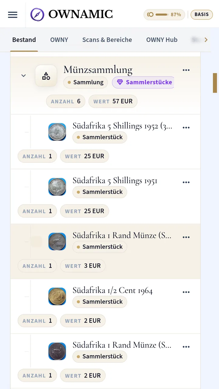 Expanded coin collection with the individual coins, their quantity and their estimated value