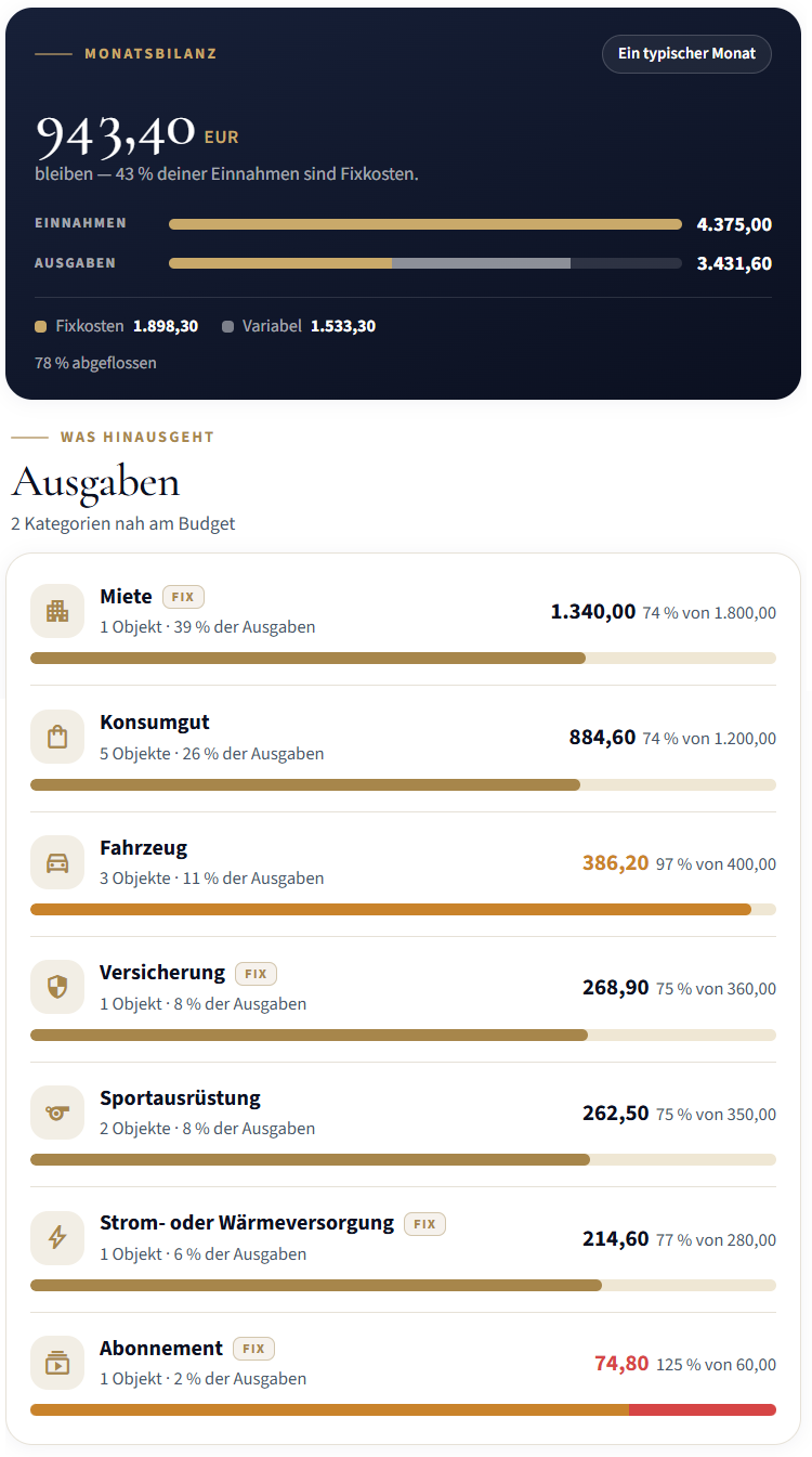 The OWNAMIC Household Ledger: monthly balance with income, expenses and budgets per category